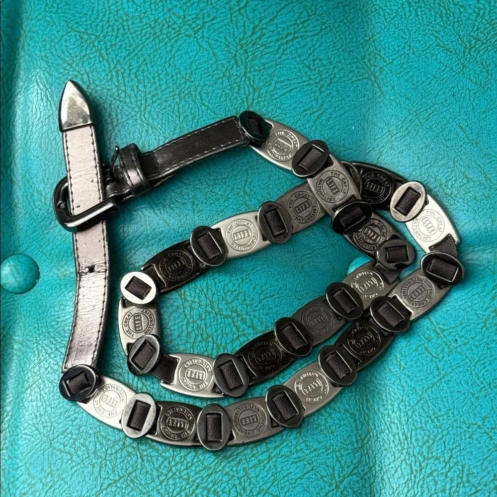 Vintage Suzie Roher life the great naturalist metal plate stretch statement belt